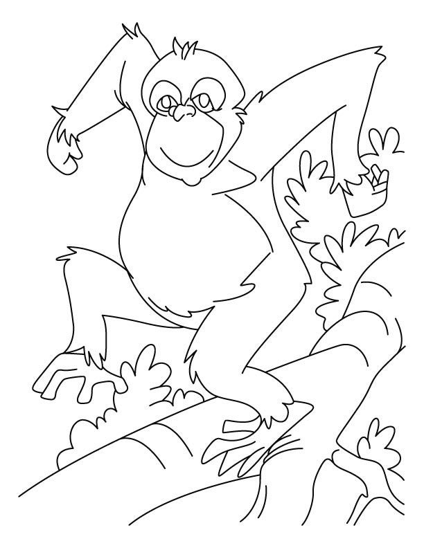 Dancing chimpanzee coloring pages | Download Free Dancing ...