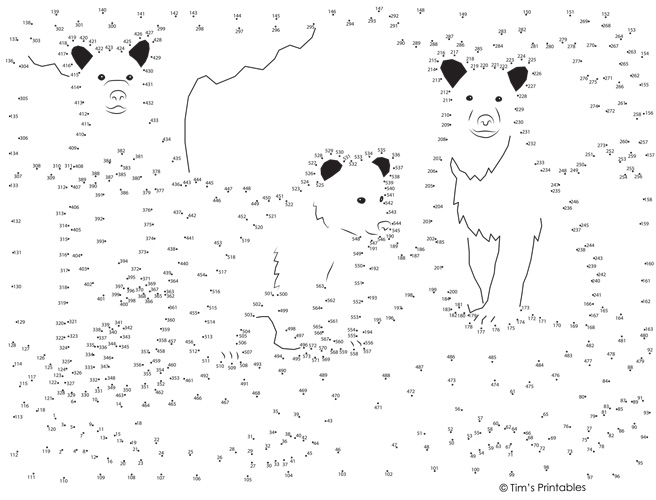 Bear Extreme Dot-to-Dot / Connect the Dots PDF by Teach Simple