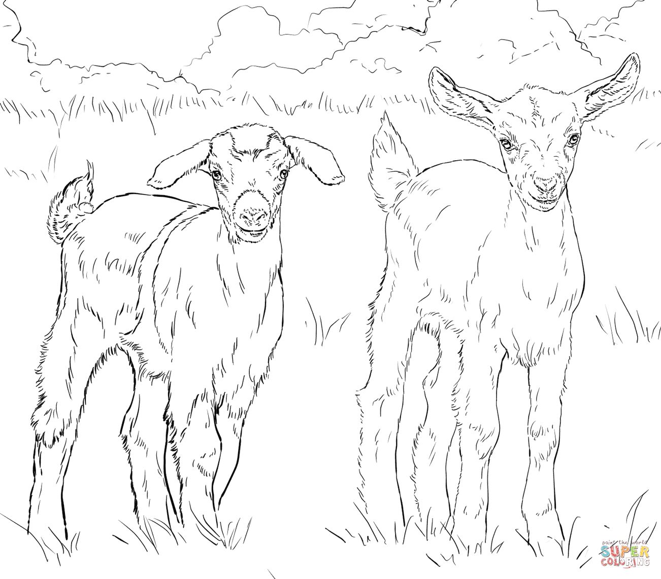 Baby Goats coloring page | Free Printable Coloring Pages