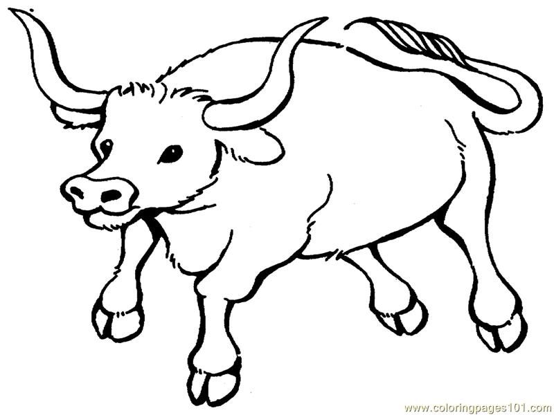 Bull Coloring Pages - 74 Bull printable pages and coloring sheets