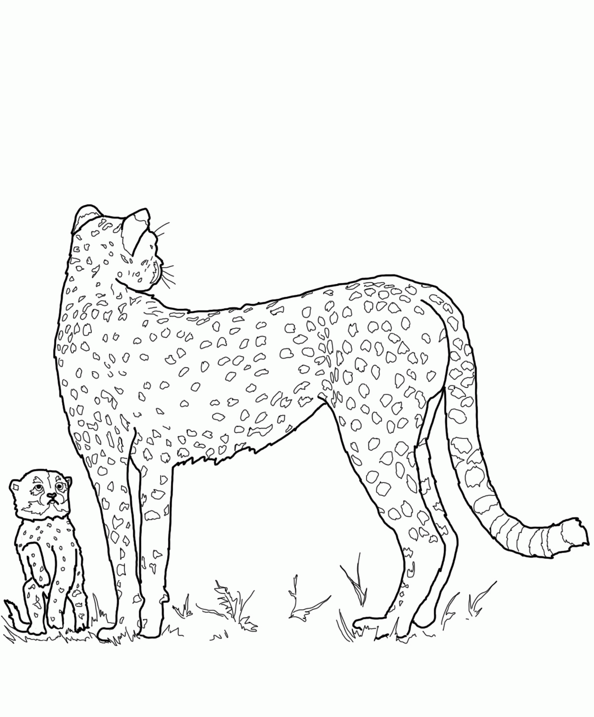 Cheetah Family Coloring Pages | Animal Coloring pages of ...