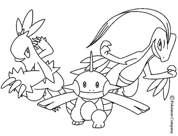 POKEMON BATTLES coloring pages - Combusken and Marshtomp