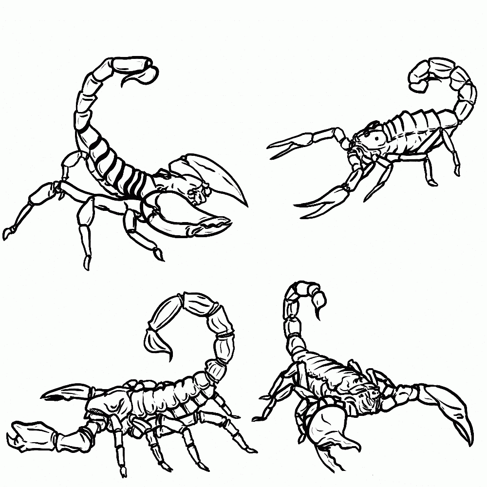 Scorpion Coloring Pages - Coloring Home