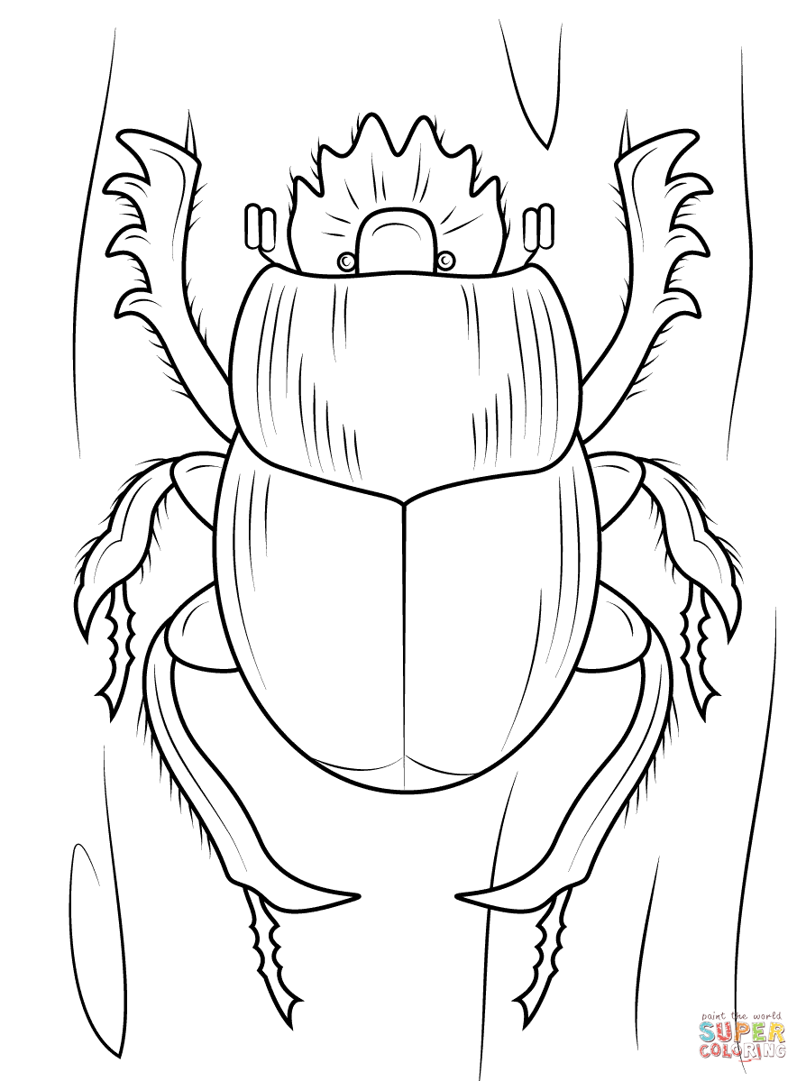 Beetles coloring pages | Free Coloring Pages