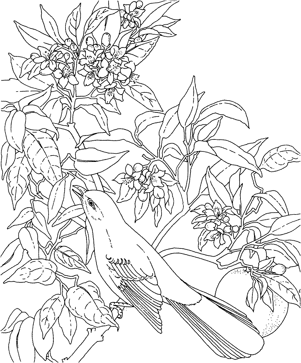 Hard Flowers Coloring Pages - Coloring Home