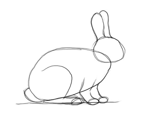 How to draw a rabbit - Drawing Factory