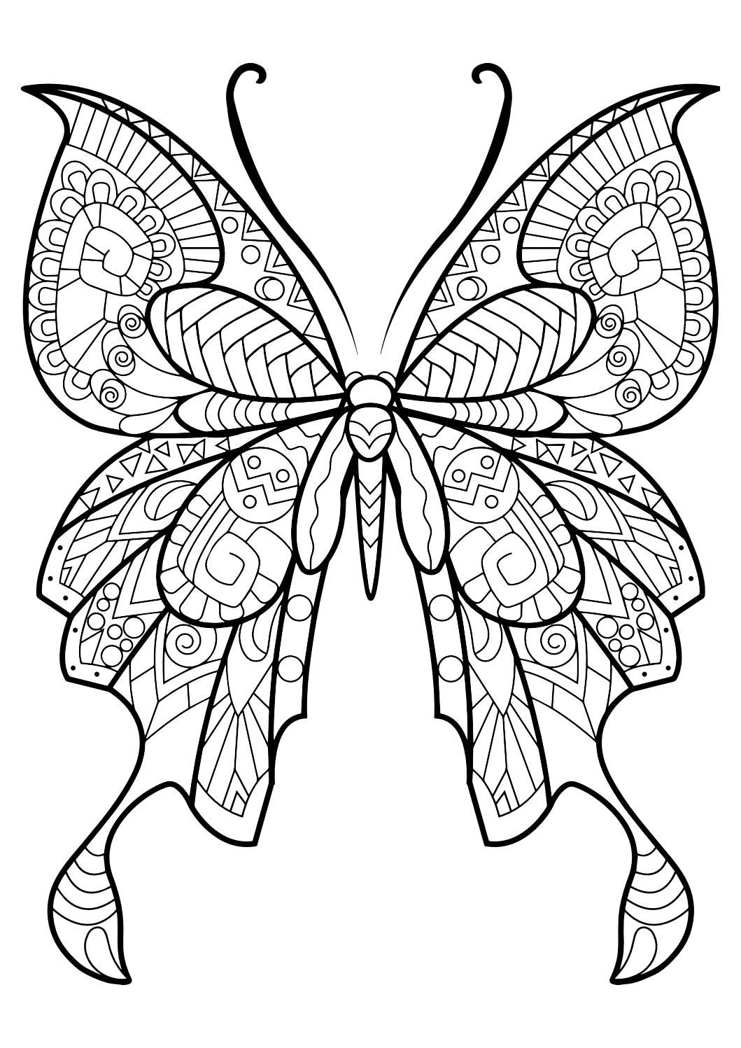 Best Coloring : Butterfly Coloring Best Printable Flowers ...