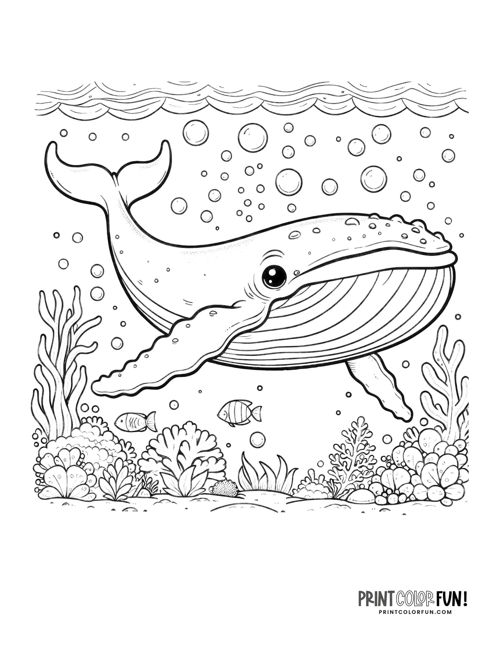 12 whale drawings & clipart: Add a ...