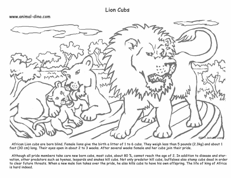 Animal Coloring Page (Lion cubs) Print Size - Jack the Lizared Wonder World