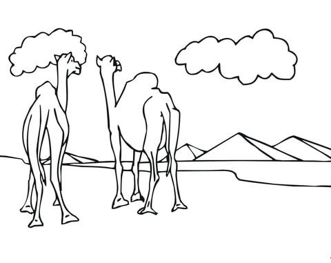 Two Camels Look at Pyramids coloring ...supercoloring.com