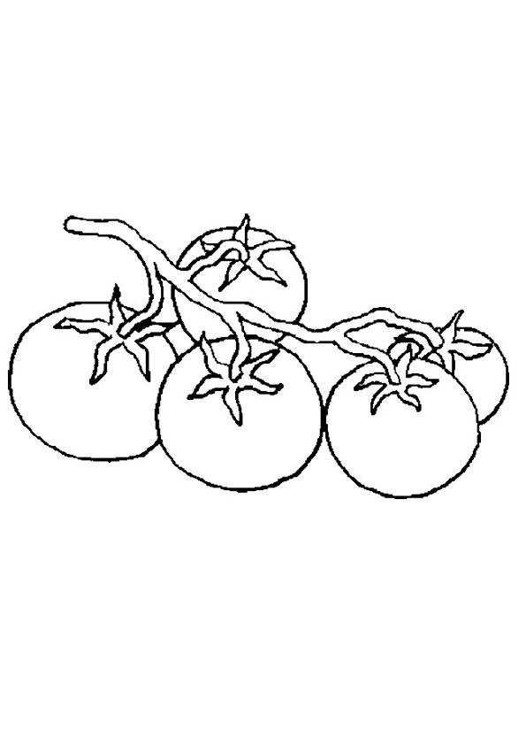 Coloring Pages | Bunch of Tomato Coloring Page