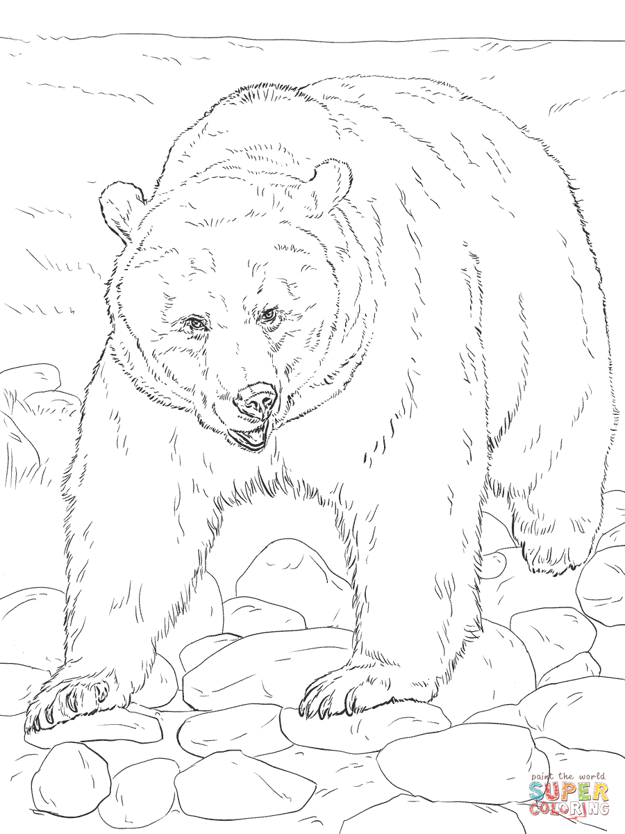 Grizzly bears coloring pages | Free Coloring Pages