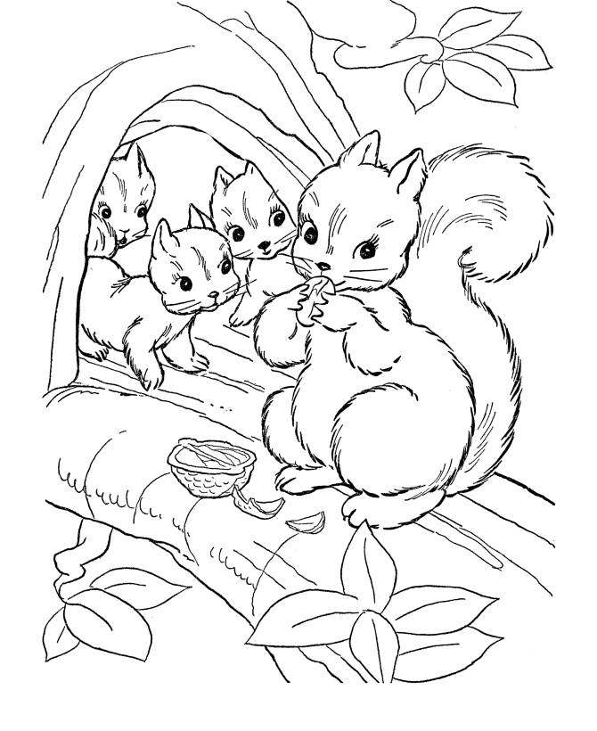Wild Animal Coloring Pages | Squirrel family Coloring Page and ...