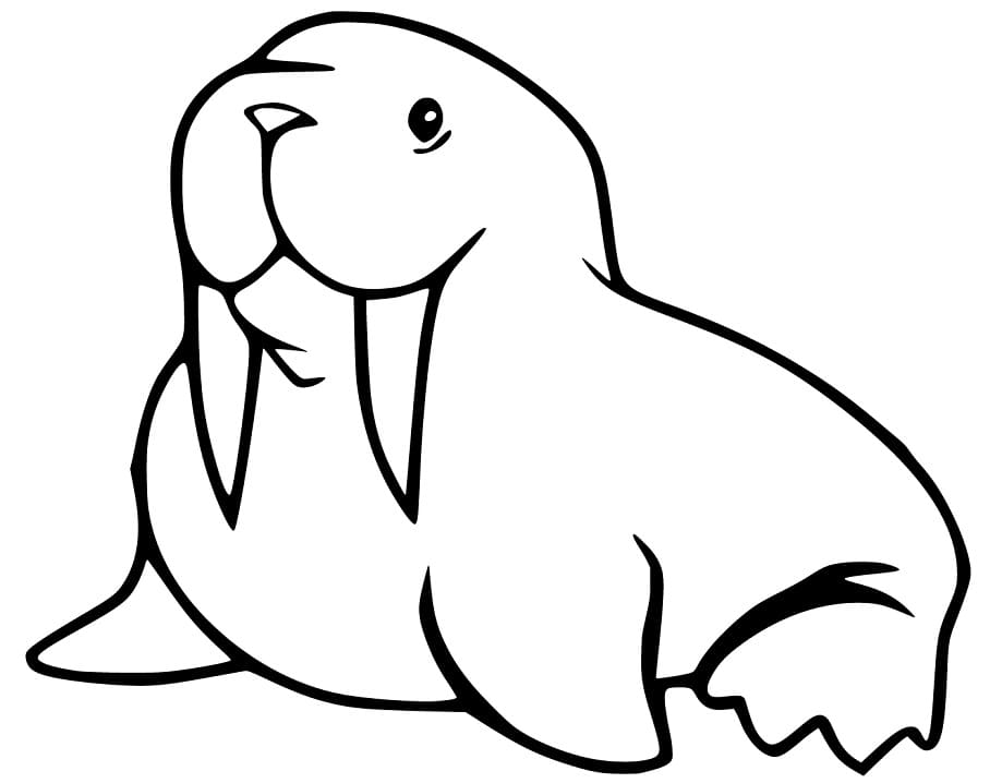 A Simple Walrus Coloring Page - Free Printable Coloring Pages for Kids