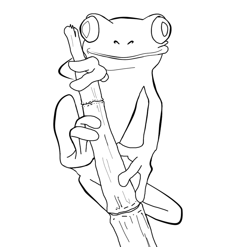 Red Eyed Tree Frog Coloring Page - Coloring Pages for Kids and for ...