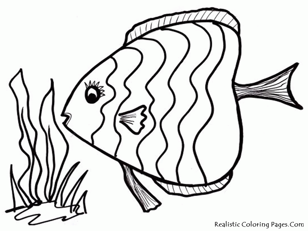 rainbow fish coloring page - Free Large Images