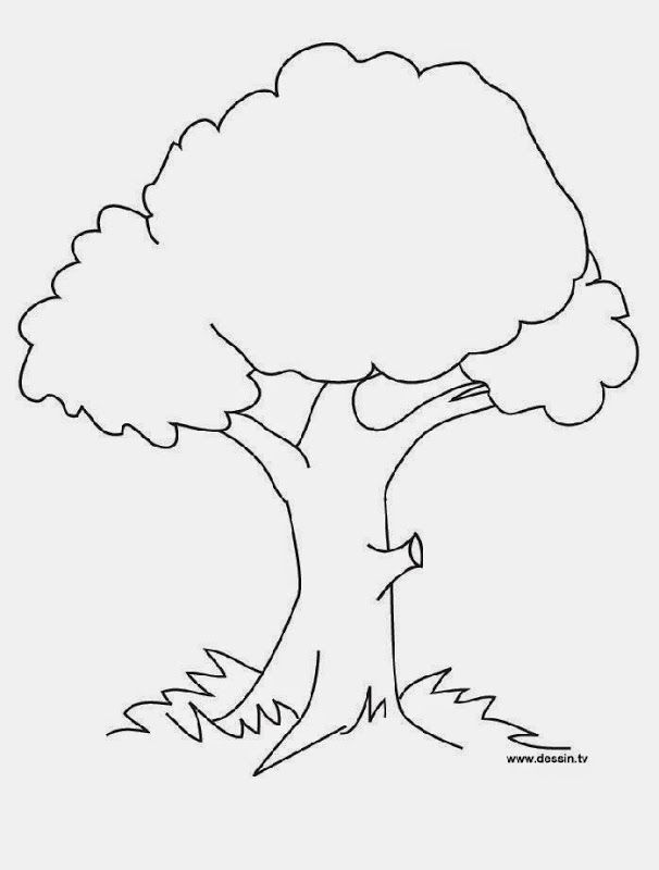 Printable Tree Coloring Pages For Preschoolers - High Quality ...