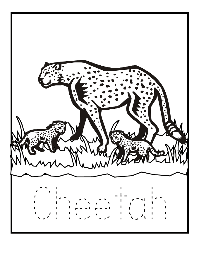 Free Printable Cheetah Coloring Pages - Toyolaenergy.com