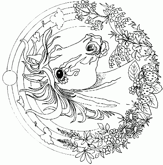 Animal Mandalas Coloring Pages Hop Off For Printable Animal 729 ...
