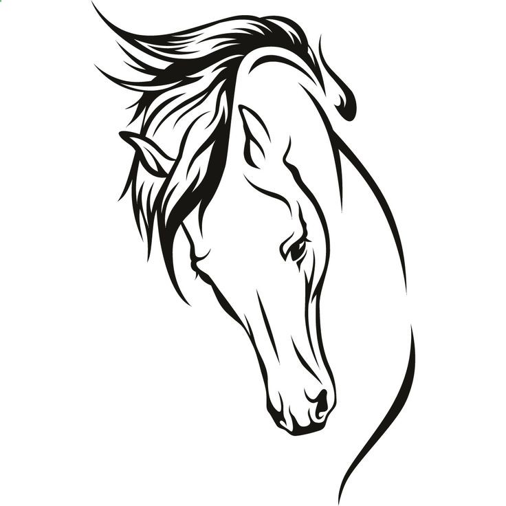 Draft horse - Coloring Pages & Pictures - IMAGIXS | Craft ...