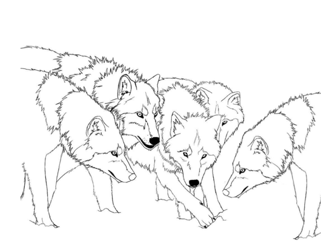 Wolf Mom With Pups Coloring Pages - Coloring Home