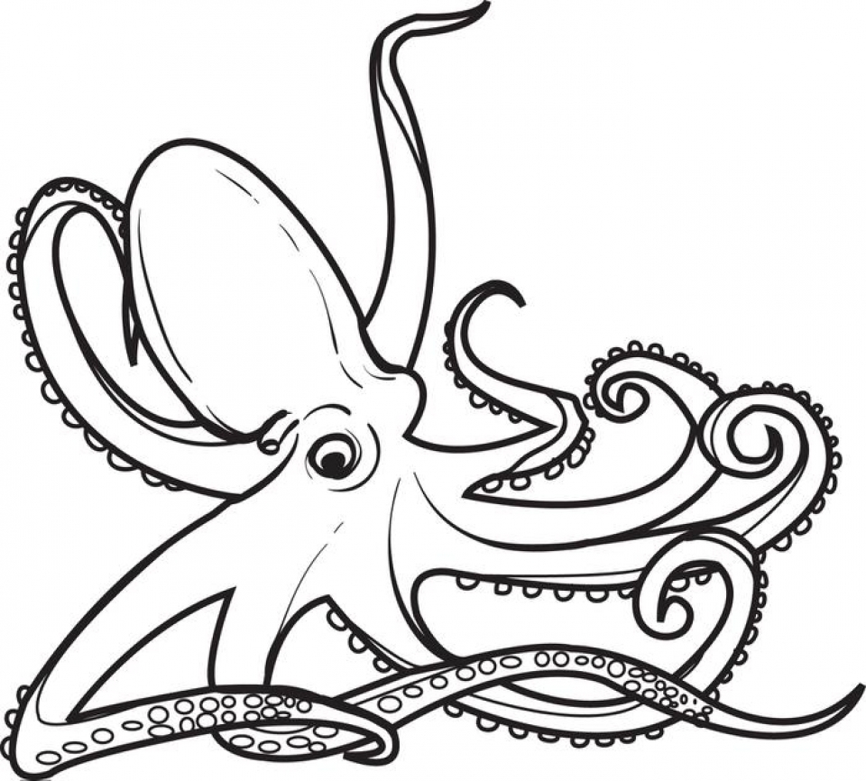 Get This Free Octopus Coloring Pages 2srxq !