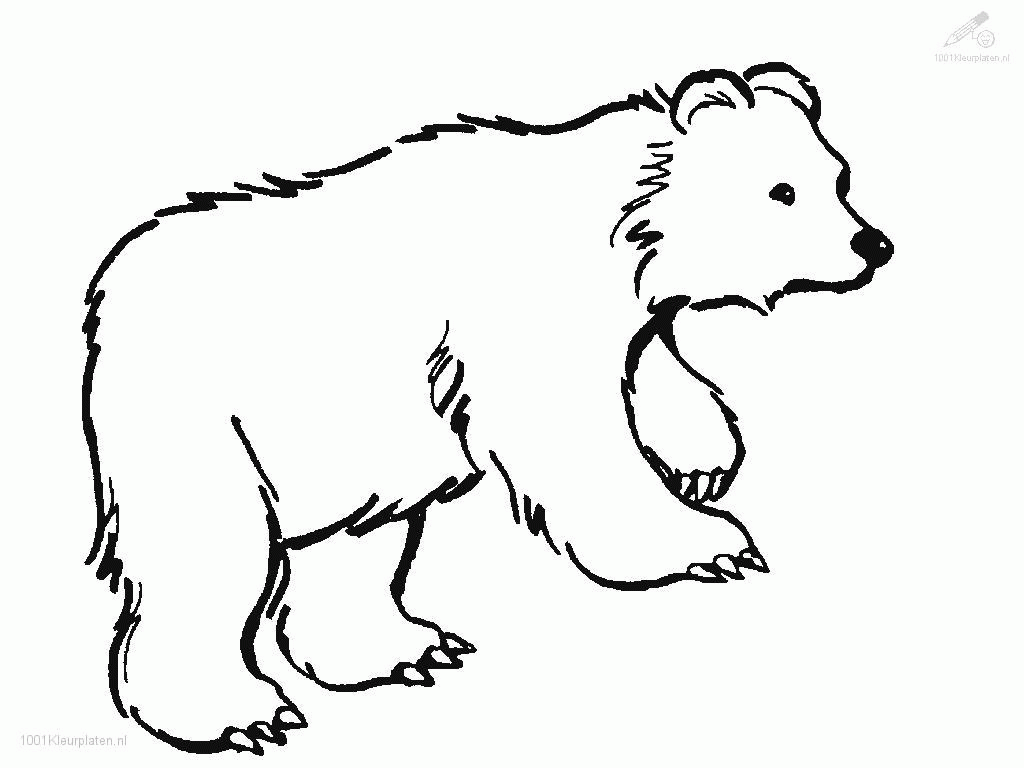 Polar Bear Coloring Pages Free Printables Bears Coloring Chicago ...