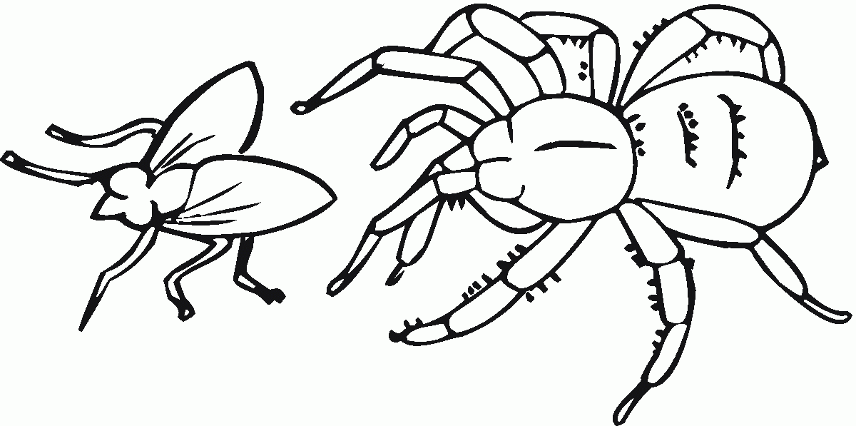 Related Spider Coloring Pages item-10468, Spider Coloring Pages ...