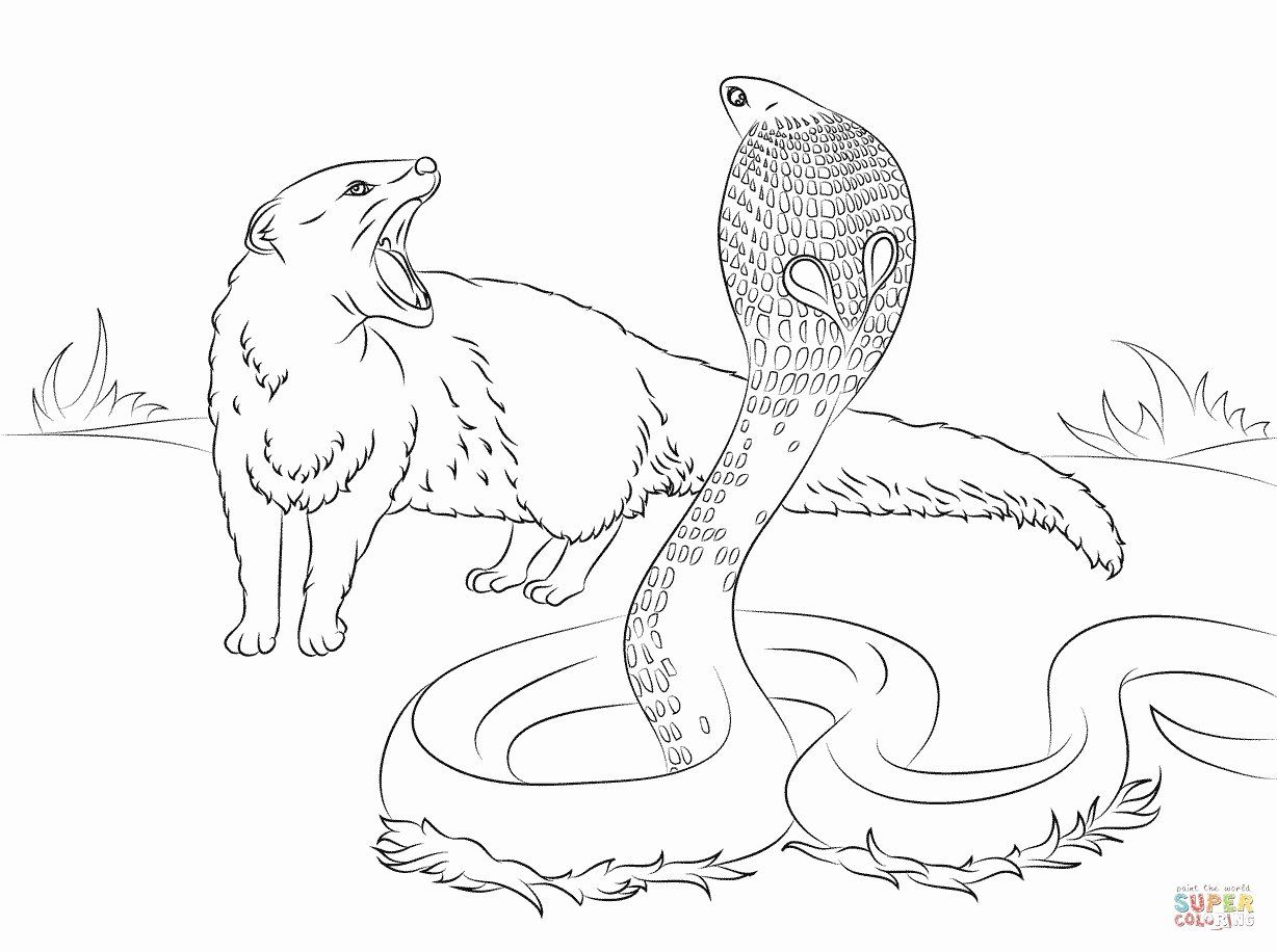 Coloring Pages Realistic Animals   Animal Coloring Pages, Animal ...
