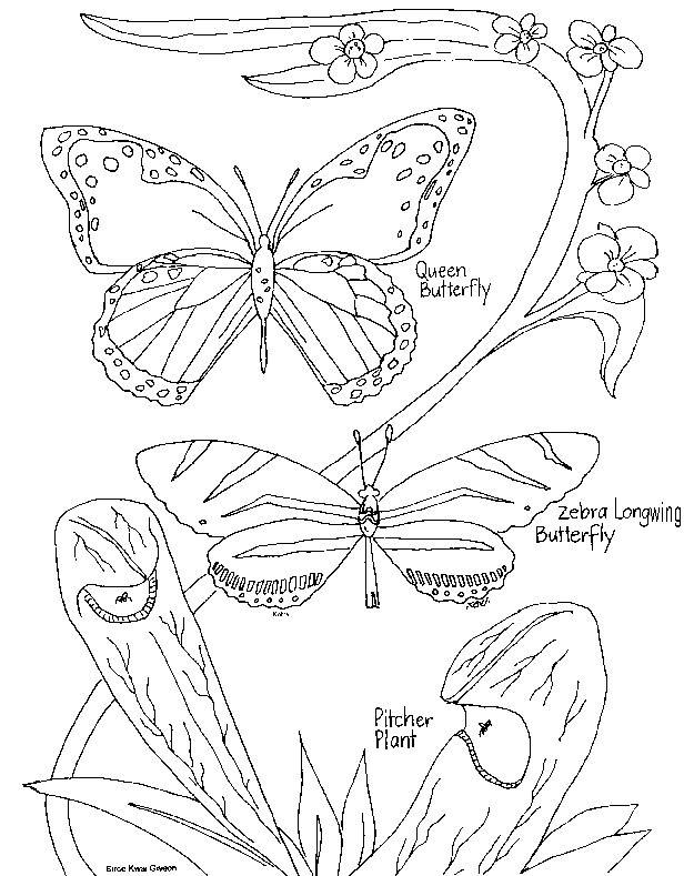 Nature Coloring Pages - Coloring Home