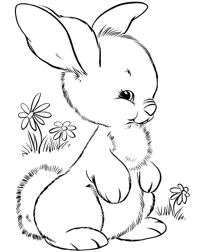 How To Draw A Cute Easter Bunny Images & Pictures - Becuo