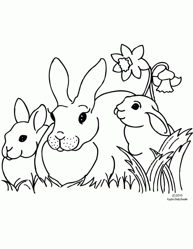 Free Printable Coloring Page and Clipart | Bunnies and Daffodils