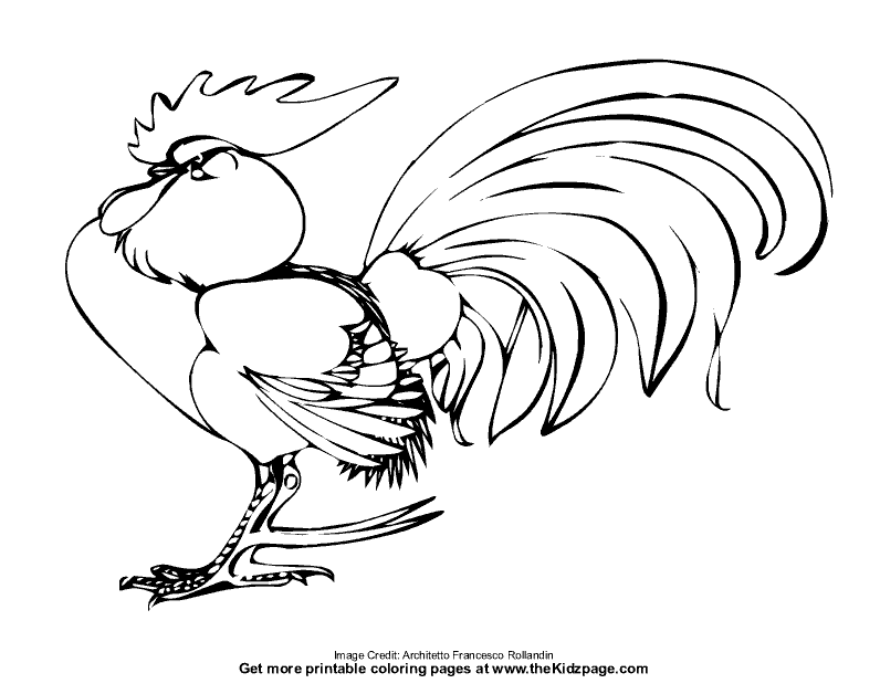 Rooster - Free Coloring Pages for Kids - Printable Colouring Sheets