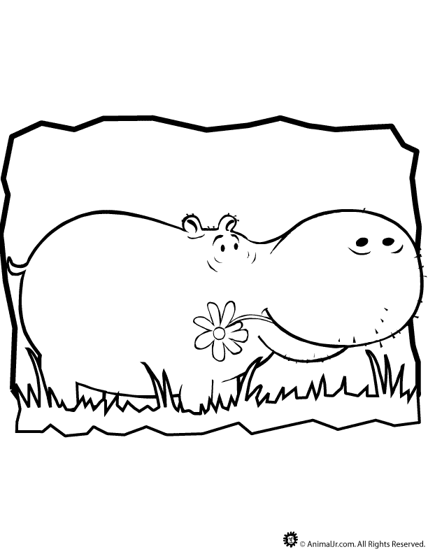 hippopotamus-coloring-pages-53.jpg