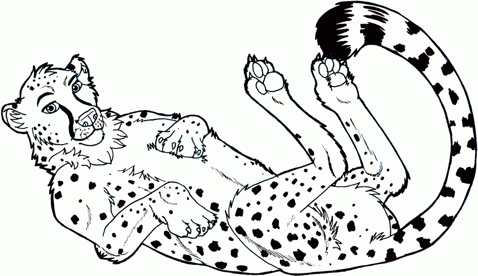 commission__cheetah_lineart_by 