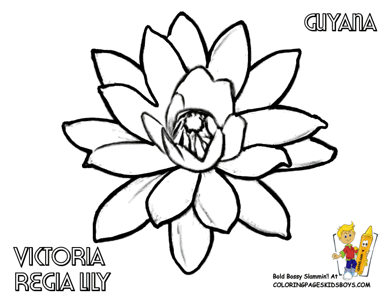 Free Printable Coloring Pages Flowers Kids