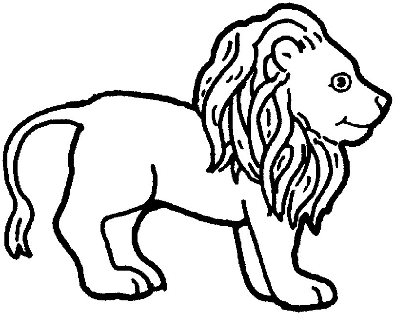 Coloring Page - Lion animal coloring pages 15