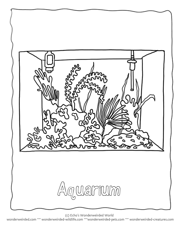 Aquarium Coloring Pages - Coloring Home