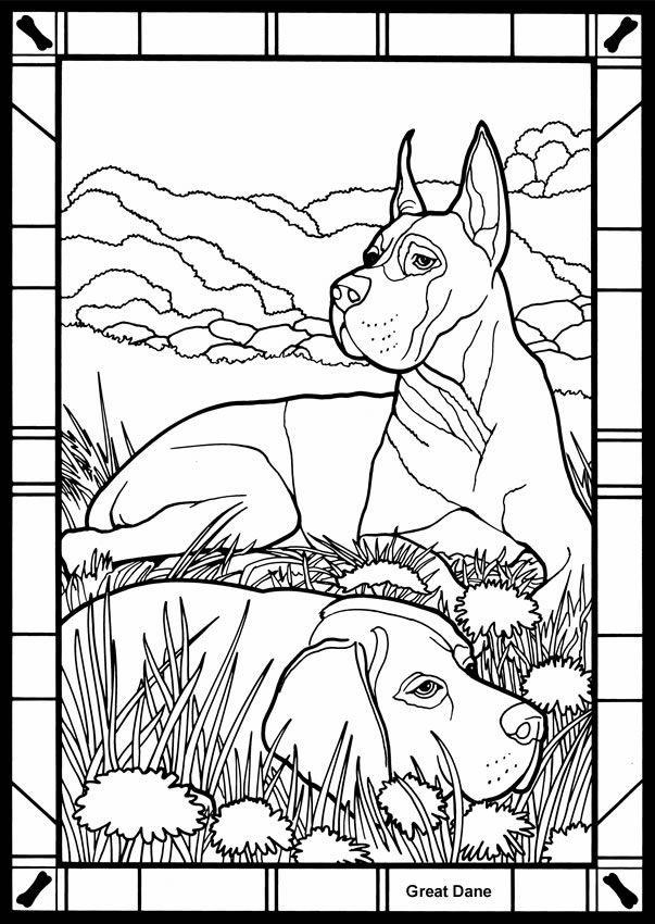Great Dane Coloring Pages - Coloring Home