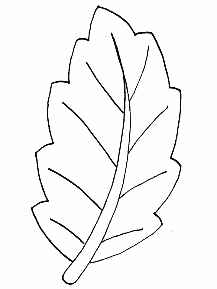 Printable Leaf Coloring Pages For Kids | COLORING WS