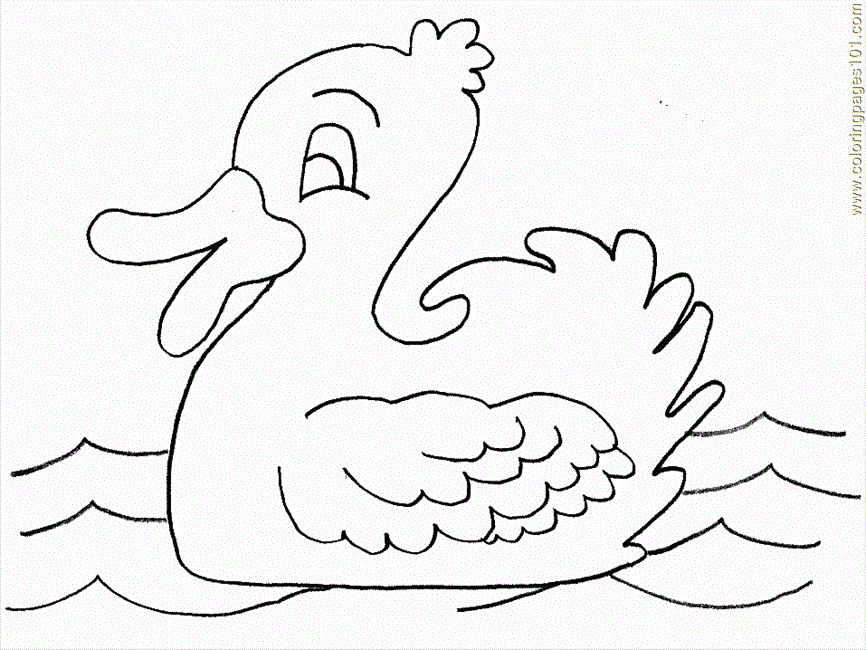 Coloring Pages Coloring Pages Duck7 (Birds > Ducks) - free 