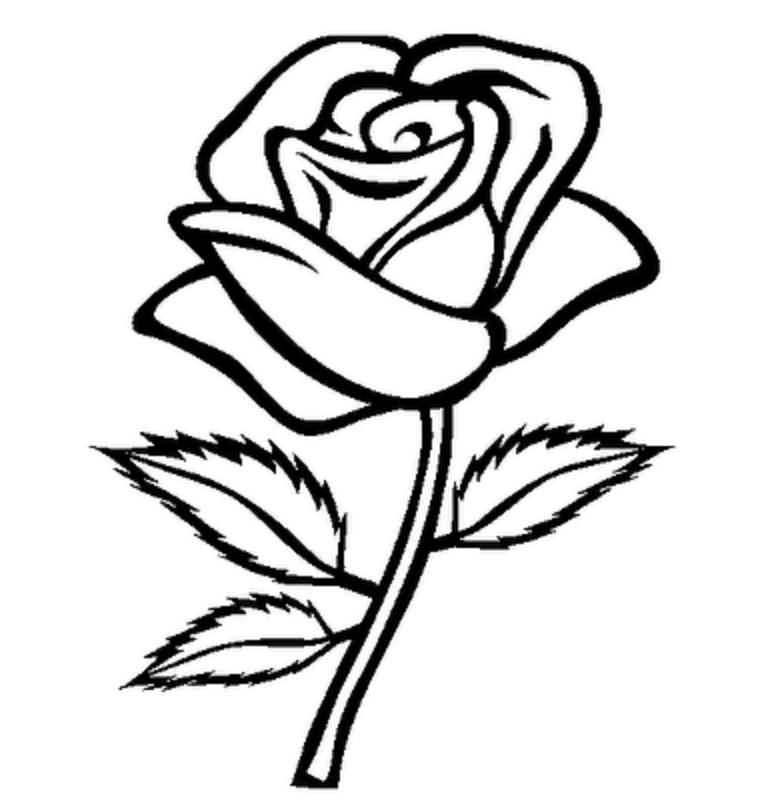 Rose Flower Coloring Sheets | Coloring