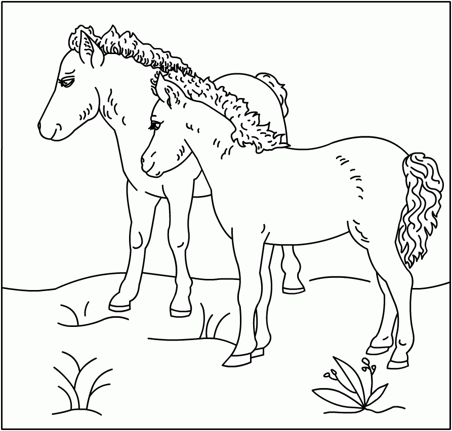 Free Horse Coloring Pages | Coloring pages wallpaper