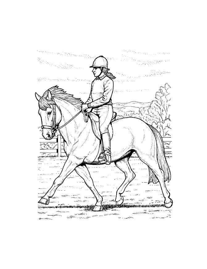 Horse Coloring Pages To Print - Coloring Home