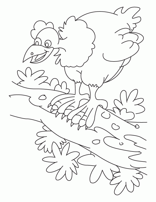 Hen clucking-noise making coloring pages | Download Free Hen 