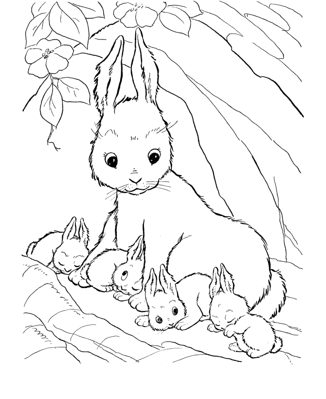 Baby Animals Coloring Pages Picture 3 | Cartoon Coloring Pages