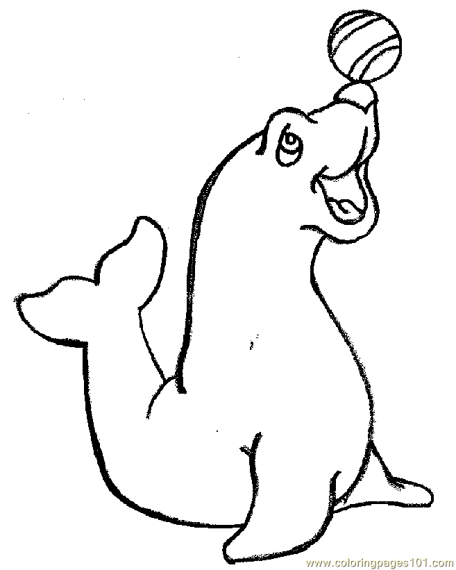 circus seal Colouring Pages