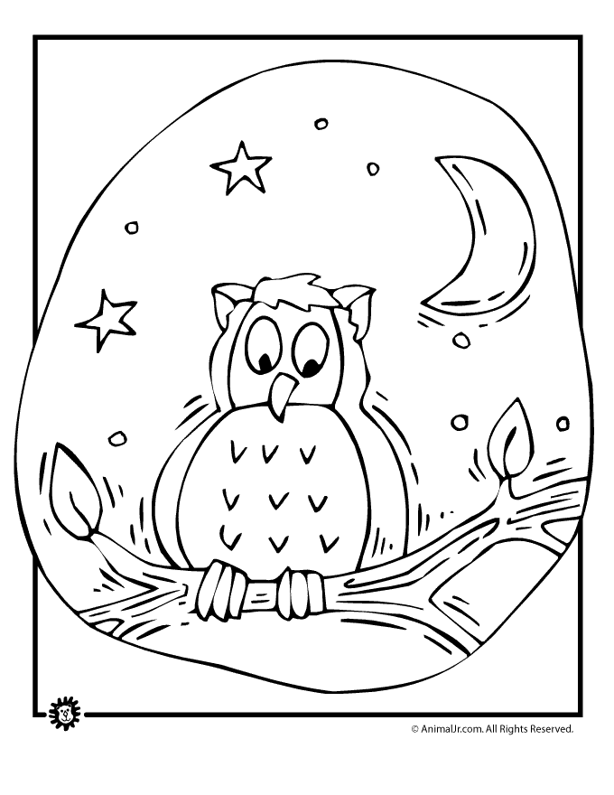 owl-coloring-pages-614.jpg