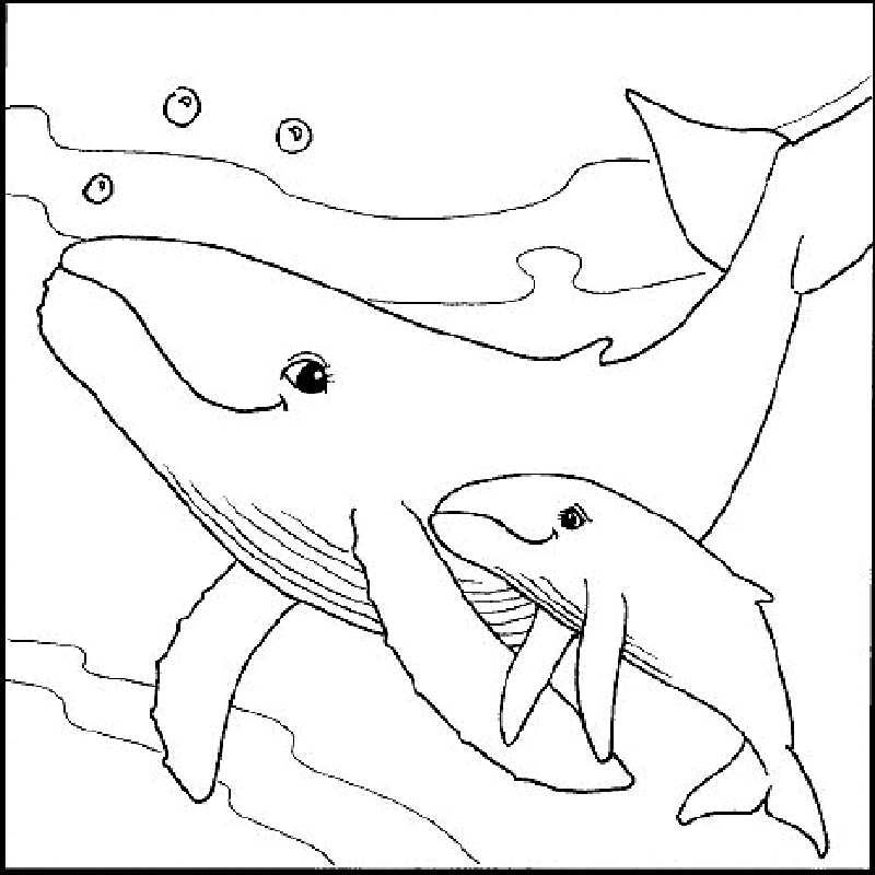 Free Printable Sea animals Coloring Pages For kids – Dolphin 