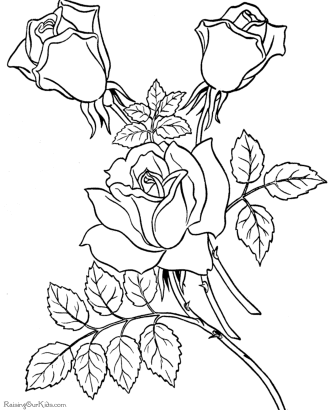valentine roses and hearts coloring pages